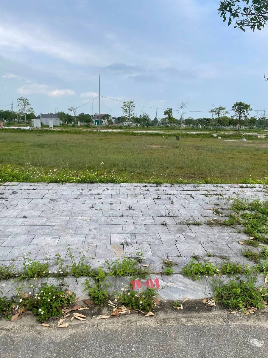 Lô BT 04-4 view Công viên, diện tích 310.5m2 tại Triệu Sơn Regen City