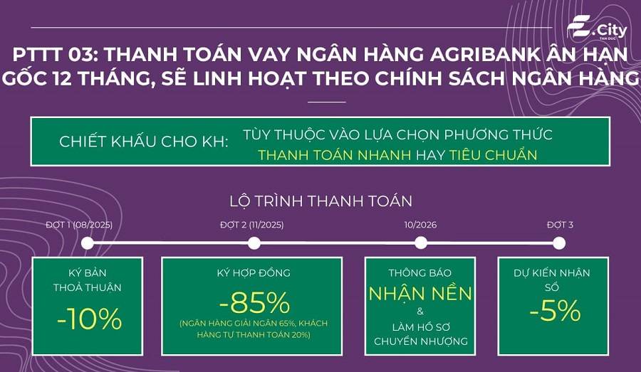 Cần bán gấp lô đất đối diện đại học Tân Tạo, KĐT E-City Tân Đức