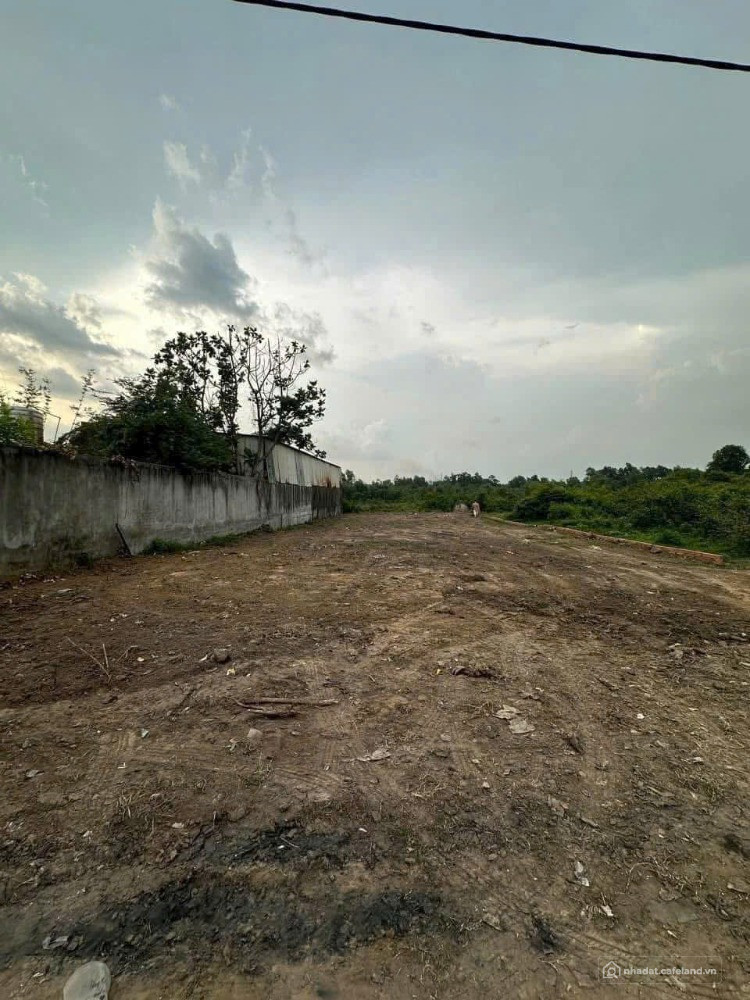 Đất xã Củ Chi, 631m2 có 300m2 đất ở. Dịch vụ nhà đất
