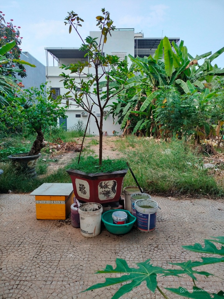 LÔ ĐẤT ĐẸP ĐƯỜNG 10M5 – TRUNG TÂM HÒA XUÂN – GIÁ TỐT ĐẦU TƯ!
