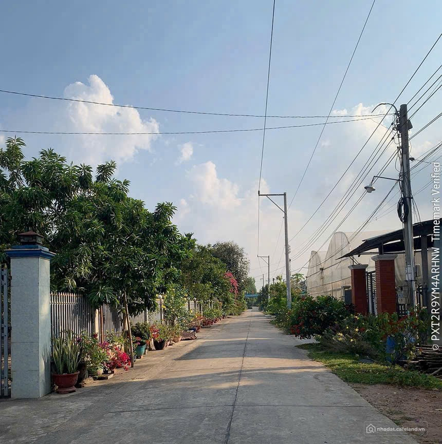 Bán 1 lô duy nhất ngay chợ Trừ văn Thố dân cư đông kín