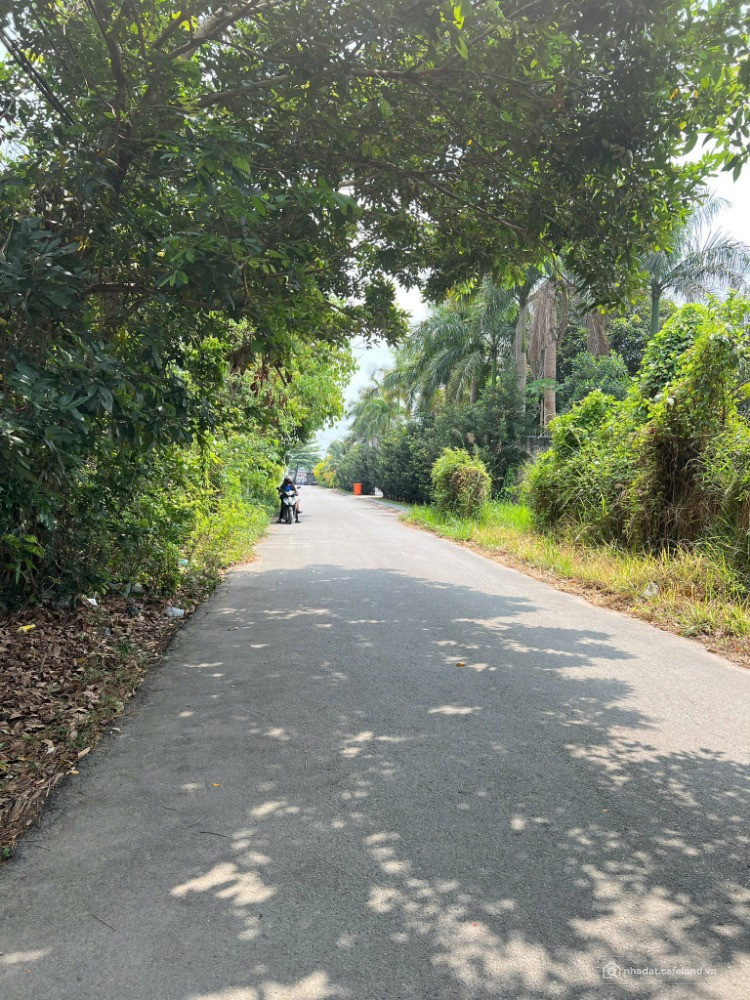 BÁN ĐẤT VEN SÔNG HIỆP HOÀ SỔ RIÊNG THỔ CƯ GIÁP DỰ ÁN CỦA SUN GIÁ 8TY/200M2