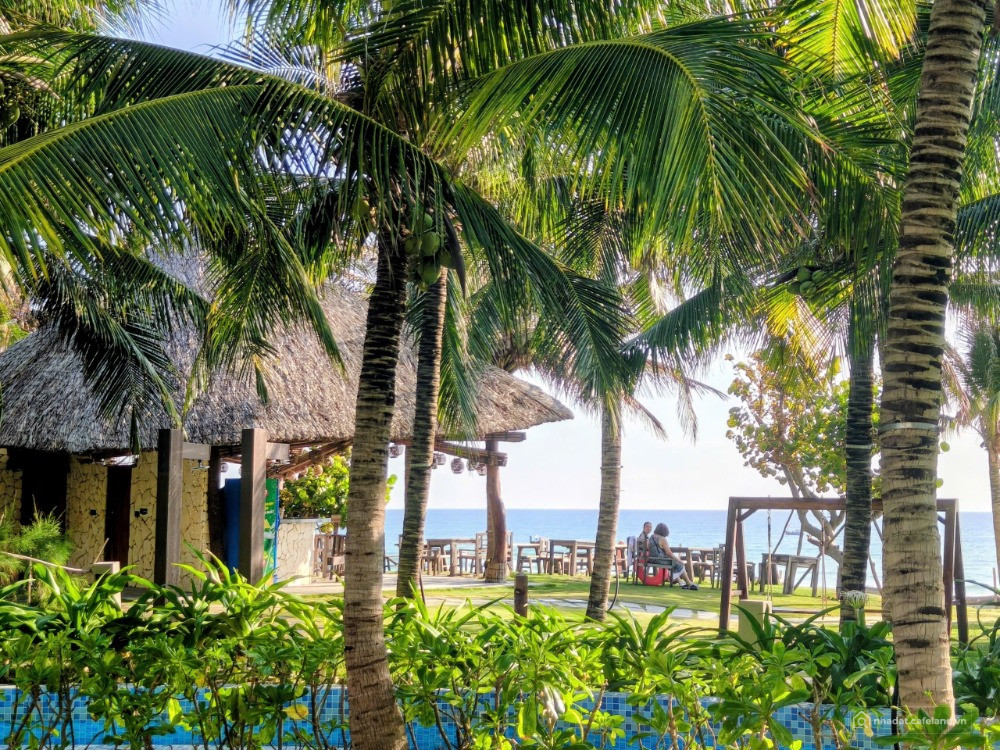 Đặt Phòng Khách Sạn Arena Cam Ranh Beach Resort chỉ từ 850k/đêm