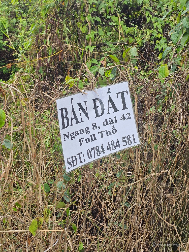 Bán đất Phường Tân An , Tỉnh Tây Ninh (Long An cũ)
