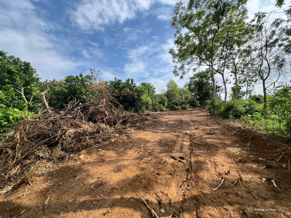 Bán đất Lương Sơn, Hòa Bình 1000m2 giá rẻ nhất khu vực, view cánh đồng