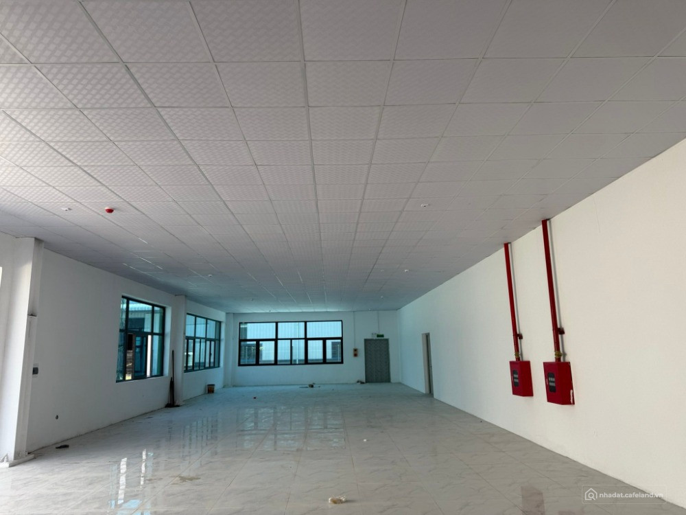 Thuận Thành - Bắc Ninh: Xưởng 2 Tầng 4,500-20,000m2, Giá 4.2$/m2/tháng