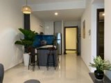 Cho thuê căn hộ khu Nam 2PN, 70m2, 15tr/th, nội thất cao cấp