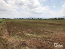 Cần bán 10000m2 đất trồng cây hàng năm tại Xã Bình An, Bắc bình, Bình Thuận