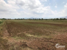 Cần bán 10000m2 đất trồng cây hàng năm tại Xã Bình An, Bắc bình, Bình Thuận