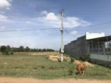 Cần tiền bán gấp 250m2 đất thổ cư, mặt tiền đường nhựa xã Bình An, Bắc Bình, Bình Thuận