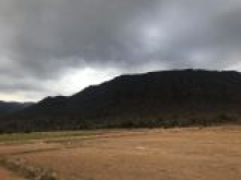 Cần tiền bán gấp 10000m2 đất trồng cây hàng năm tại xã Phan Điền, Bình Thuận