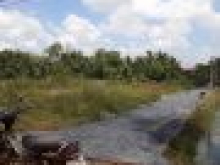 Cần tiền bán lô đất DT 88m2 tại ấp 3, xã Tân Bửu, Bến Lức, Long An