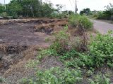 Cần bán Đất nông nghiệp, H,Cần Đước, tỉnh Long AN