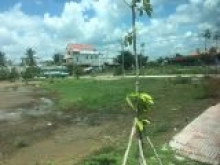 Đất mặt tiền QL50, sinh lời nhanh, thích hợp đầu tư lướt sóng