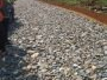 Ra nhanh 8 sào đang trồng trái cây ở Láng Lớn