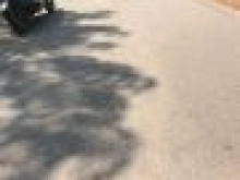 Chuẩn bị khui dự án mới tại minh tân Dầu Tiếng Bình Dương