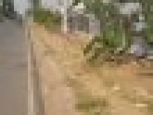 TOP DỰ ÁN TỐT NHẤT BÌNH CHÁNH NÊN ĐẦU TƯ HIỆN NAY