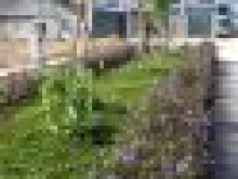 đất nền phân lô shr thổ cư 100% cam kết hoàn tiền gấp đôi nếu không ra sổ