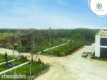 Thị trường ngách xu thế nhà đầu tư thông minh 2019