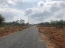 Bán đất nền biệt thự nhà vườn 500m2 với giá chỉ 1tr8/m2, SHR. Công chứng sang tên ngay