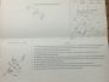 Cần bán gấp đất chính chủ, SHR thổ cư ngay KCN Trảng Bom