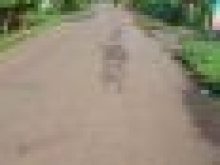 ĐẤT SÀO TRẢNG BOM, CÓ NHÀ NÁT, ĐIỆN ĐÀI ĐẦY ĐỦ