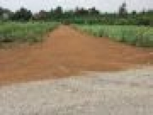 Gia đình chúng tôi cần bán gấp 1000m2 đất cách chợ sông thao 300m.