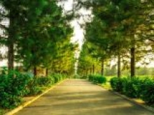 Bán Biệt thự sinh thái có cảnh quan thiên nhiên đẹp nhất Hà Nội- Giá rẻ nhất Hà Nội