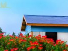 Nhanh tay sở hữu ngay căn biệt thự 3 mặt thoáng C2A-18 tại dự án The Phoenix Garden,CK Ngay 510tr