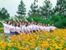 Mở bán BT đồi thông view công viên cây xanh, hồ điều hòa, vị trí vàng Đan Phượng, tiện đầu tư sinh lời