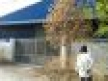 Bán Gấp 33000m2 Ngang Khủng  có sẵn 1 kho Xưởng Có SỔ HỒNG riêng