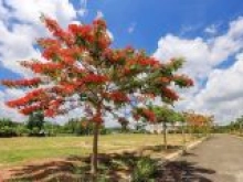 Đất Nền Khu Đô Thị Hoang Thành Kon Tum - Mở Bán Đợt Đầu Chiết Khấu Khủng Cho Các Nhà Đầu Tư