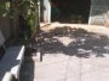 Chính chủ cần bán, cho thuê căn nhà tại tỉnh An Giang, giá tốt.