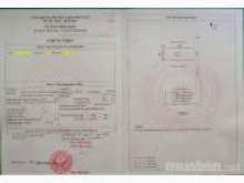 Chính chủ cần bán gấp căn hộ Lầu 3- Lô B chung cư Huỳnh văn Chính 1