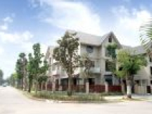 Bán biệt thự đơn lập và song lập Sunny Garden City - CEO Quốc Oai