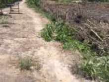 Bán đất thổ vườn huyện đức hòa, 1470m2 xã Hòa Khánh Nam giá 1 tỷ 300 triệu.