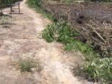 Bán đất thổ vườn huyện đức hòa, 1470m2 xã Hòa Khánh Nam giá 1 tỷ 300 triệu.