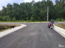 Bán lẻ hoặc bán hết 5 lô đất liền kề Long Phước, Long Thành full thổ cư, SHR.