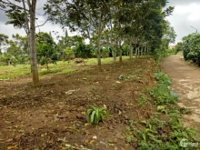 bán đất ngay đường tránh Lộc Nga Bảo Lộc