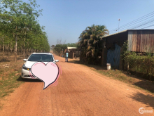 Đất vườn Dầu Tiếng Bình Dương sát ĐT748B gần chợ Minh Hòa (320TR/1000M2