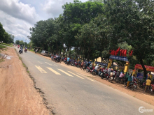 Lô đất vườn 1500m2 gần chợ Minh Tân sát ĐT749A tại Dầu Tiếng Bình Dương