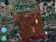 ĐẤT MẶT TIỀN BIỂN CẦN TÌM NHÀ  ĐẦU TƯ - CẦN THẠNH CẦN GIỜ