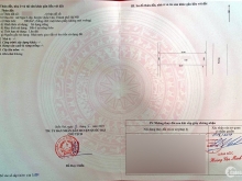 Cần bán mảnh đất cạnh khu đấu giá đồng bụt 100m2, giá cực rẻ