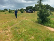 Cần bán gấp lô đất 4611m2 tại TT Lương Sơn Bình Thuận các QL1A 200M