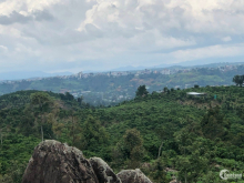 Cần bán 13000m2 view đỉnh núi có ao, cách trung tâm TP Bảo Lộc 5km