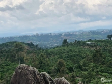 Cần bán 13000m2 view đỉnh núi có ao, cách trung tâm TP Bảo Lộc 5km