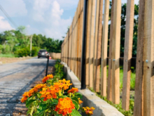 Bán vườn bưởi tại Định Quán, Đồng Nai, giá chỉ 600 ngàn/m2