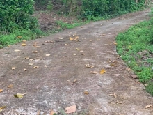 ban lô đất sào 3 mặt tiền,vuông vức,bằng phẳng tại tp long khánh