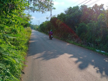 bán gấp lô đất sào dệp,vuông vức,đường xe hơi vào tới đất tại tp long khánh