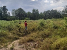 ĐẤT NGỘP NGÂN HÀNG BÁN GẤP 5,6 XÀO LỘC AN- LONG THÀNH-ĐỒNG NAI